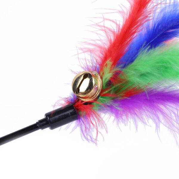 jeu plumes pour chat
