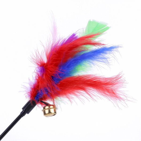 jeu à plumes pour chat