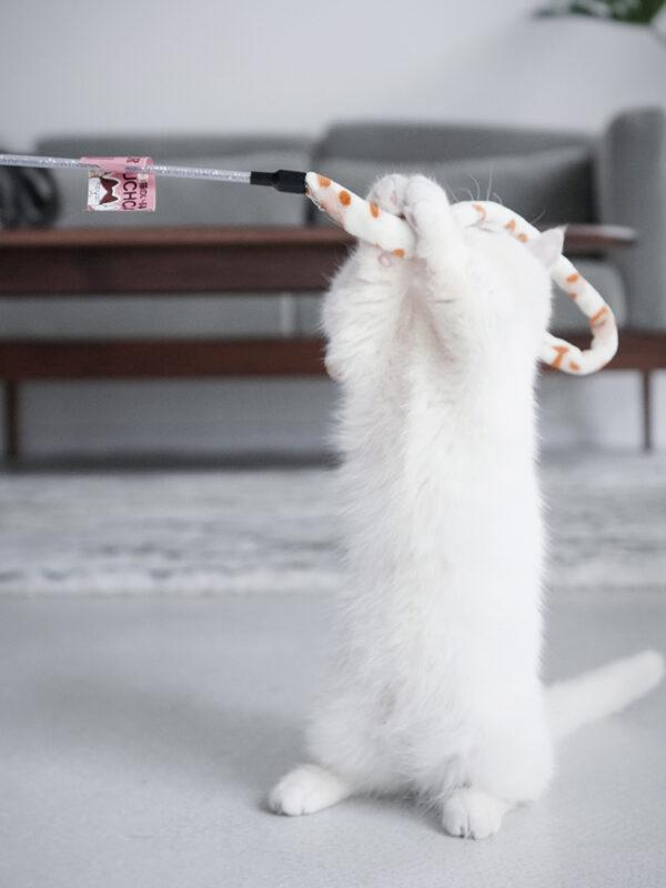 baguette plumes pour chat