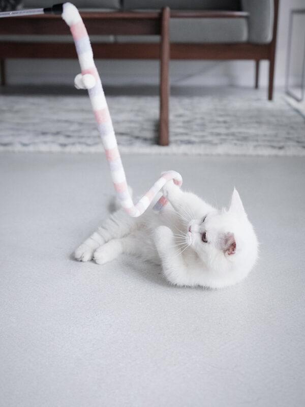 jouet baguette plumes chat