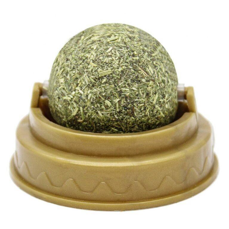 boule à mâcher pour chat