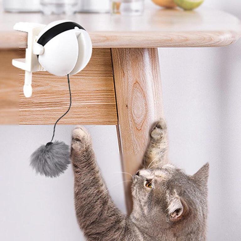 jeu chat boule electrique