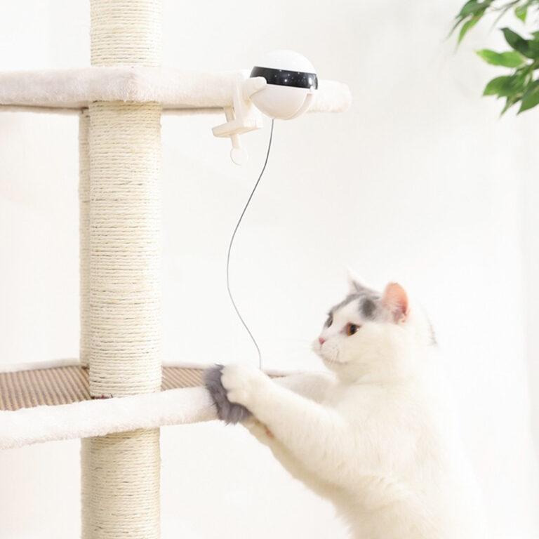 jouet chat boule de levage electrique