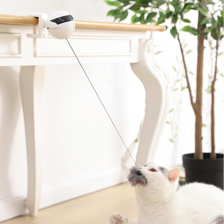 Boule-de-levage-lectrique-pour-chat