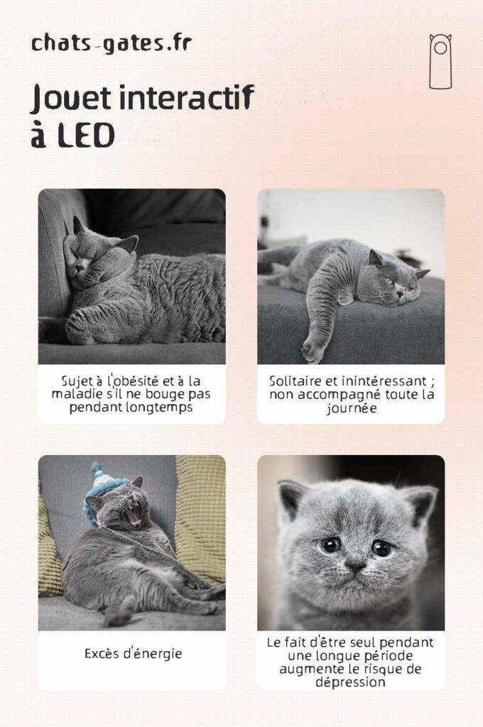 LED chat jouet interactif 1