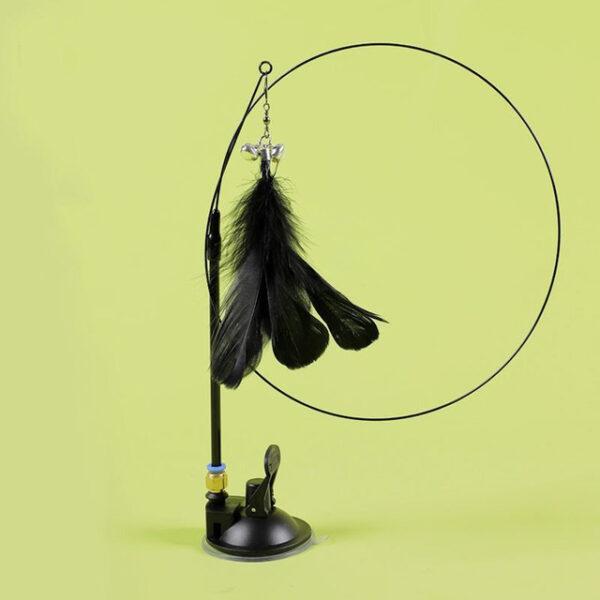 baguette plumes noires chat