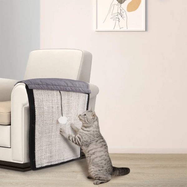 grattoir pour canapé pour chat