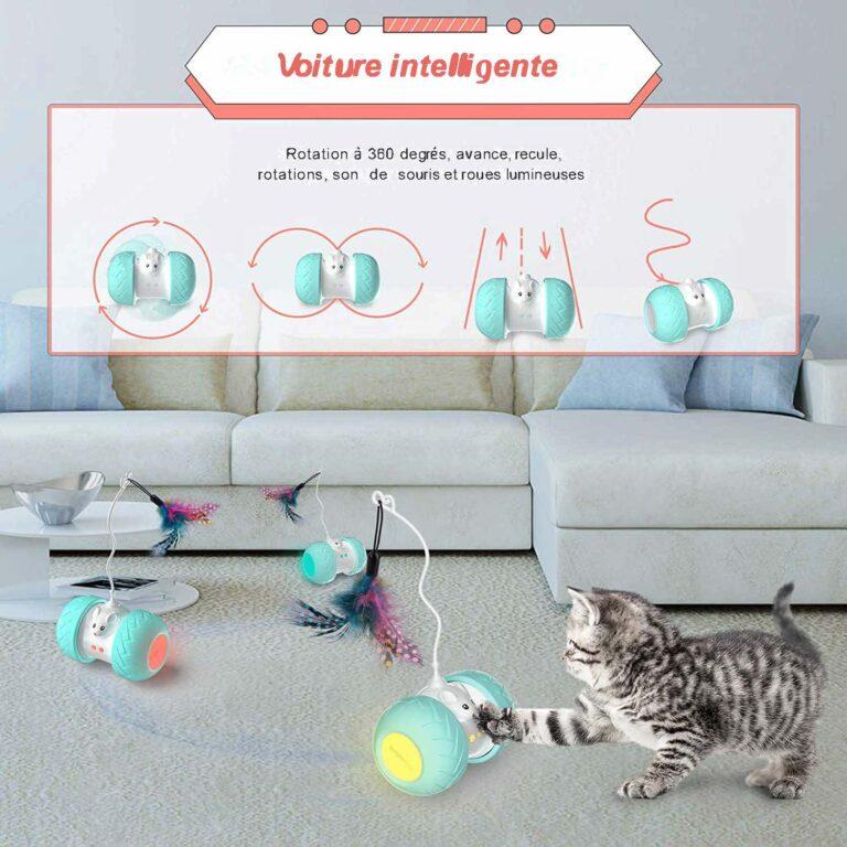jeu chat voiture souris