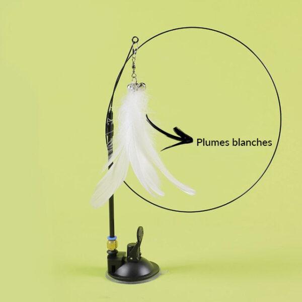jeu pour chat plumes blanches