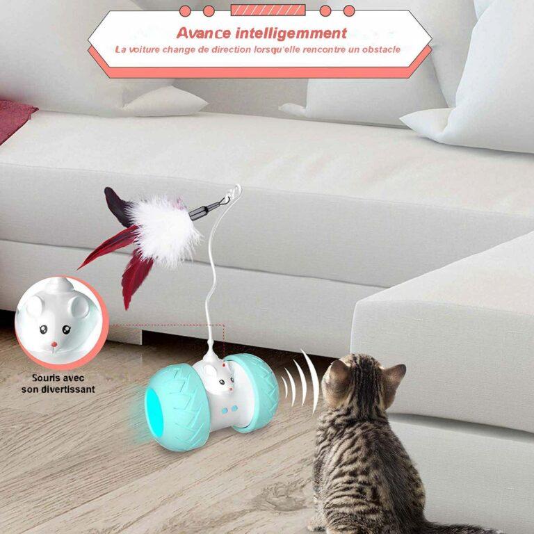 jouet chat souris interactif