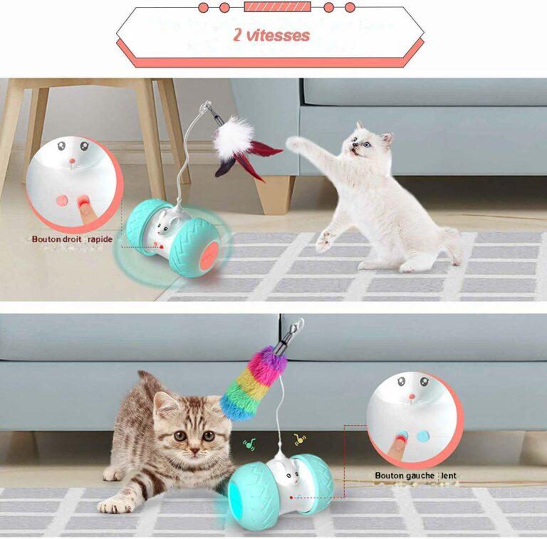 jouet chat voiture electrique