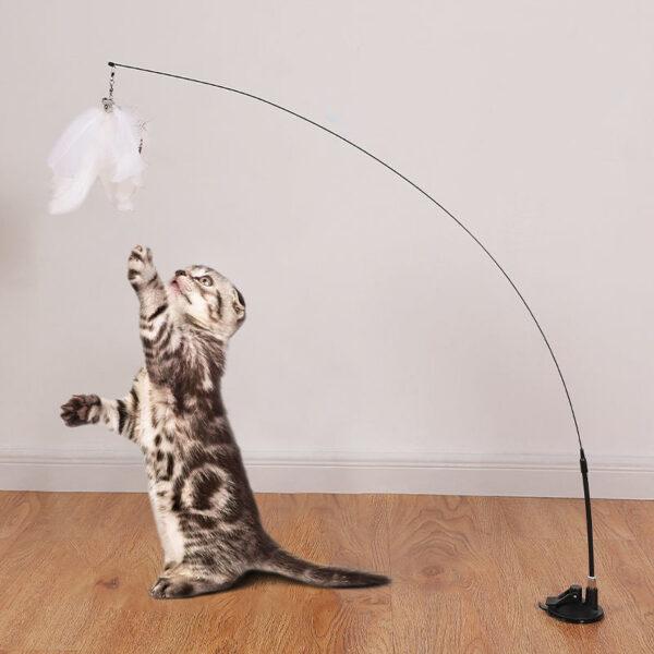 perche telescopique chat