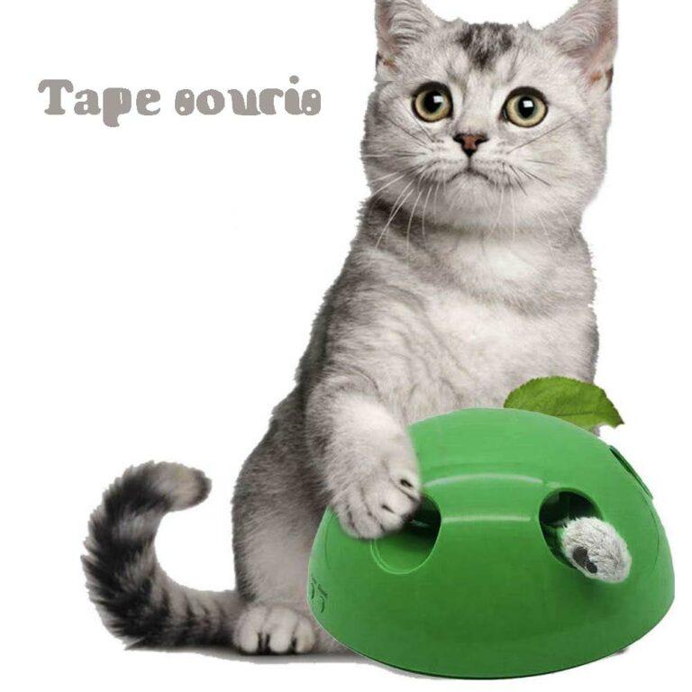 tape souris jeu chat