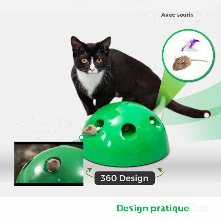tape souris jouet chat