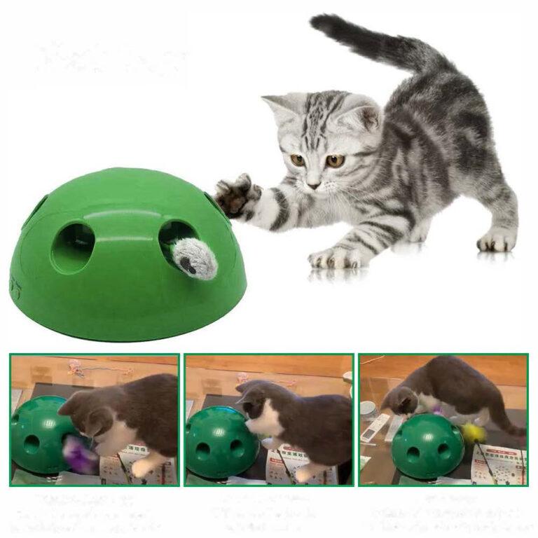 chat attrape souris jouet