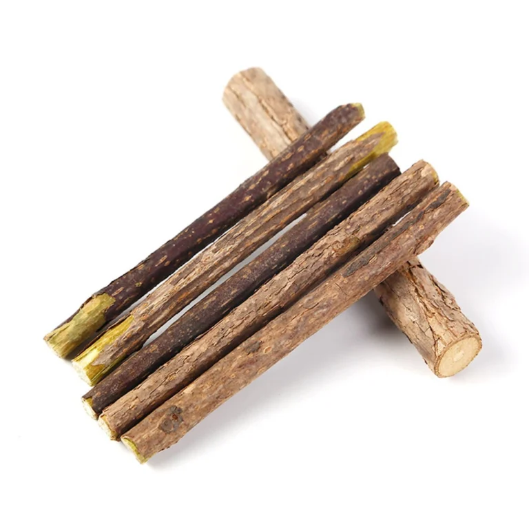 bâtons à macher pour chat