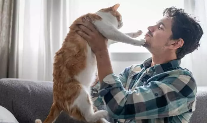comment parler avec son chat
