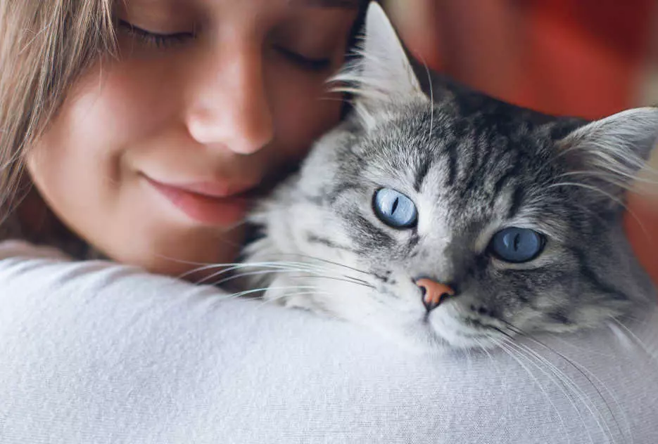 en combien de temps un chat oublie son maître