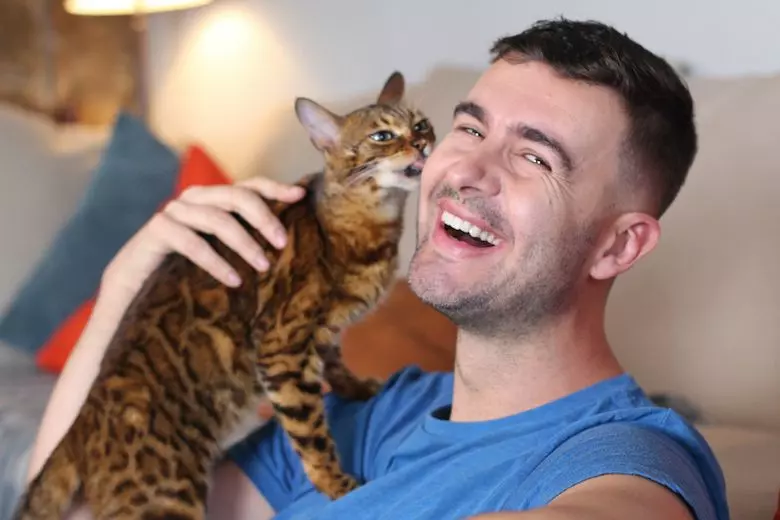 pourquoi mon chat me lèche