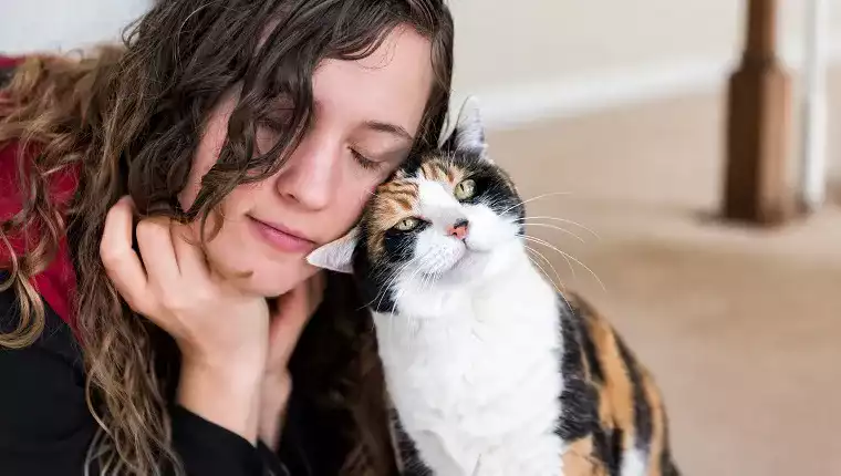 Le Don de Chat Points Clés et Recommandations